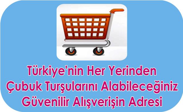 cubuk tursulari online satıs cubuk tursulari alisveris sitesi