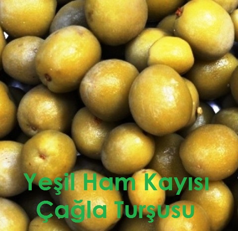 ham yesil kayisi cagla tursusu