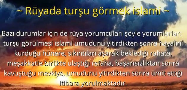 ruyada tursu gormek ne anlama gelir