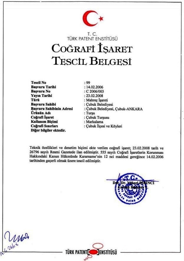 cubuk tursu markalari cubuk tursusu patent ve cografi isaret belgesi