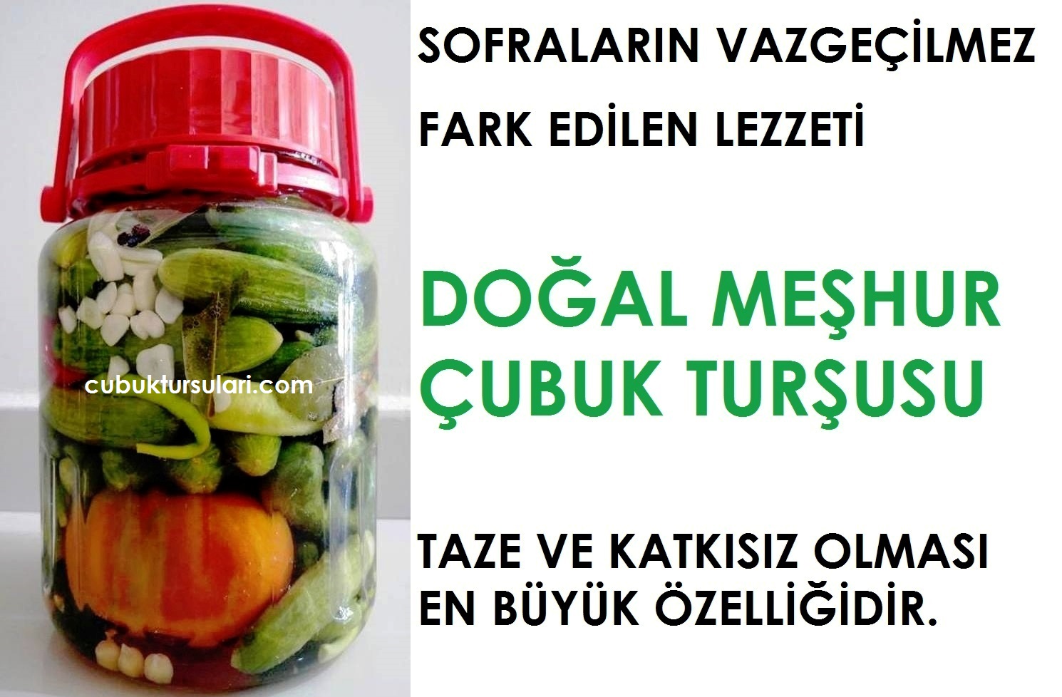 meshur ankara cubuk tursusu