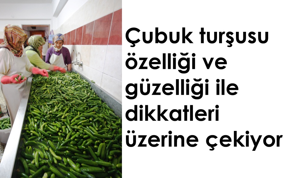 cubuk tursusu ozelligi ve guzelligi ile dikkatleri uzerine cekiyor