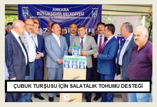 cubuk tursusu icin salatalik tohumu destegi