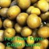 Çağla Çubuk Turşusu
