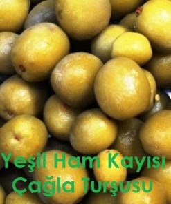 Çağla Çubuk Turşusu