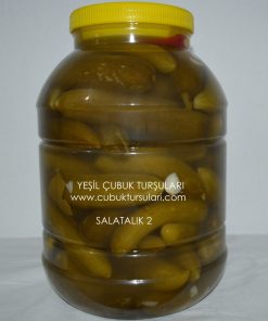 Salatalık Turşusu 2 No